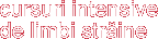 cursuri intensive de limbi str�ine